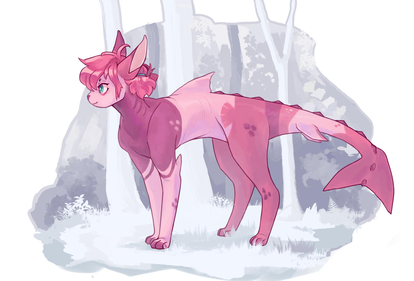 A New Adventure